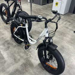 Electric Bike