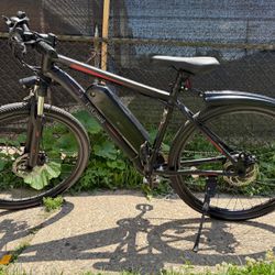 Top guard 26 Inch E-bike 