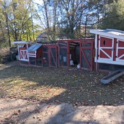 Chicken Coop 