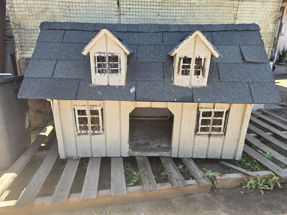 Dog House