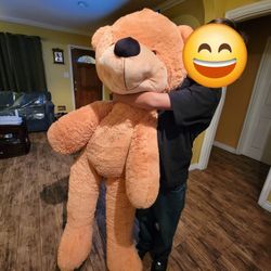 Big Teddy Bear