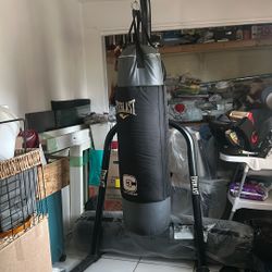 Everlast Punching Bag With Stand 