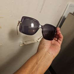 New Salvatore Sunglasses