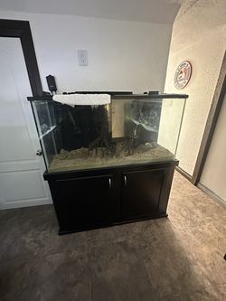 80 gallon fish tank and fx6
