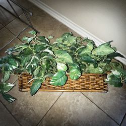 Artificial fake pothos Ivy Weave Basket