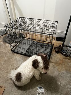 Dogs Crate Thumbnail
