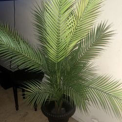 Large Artificial Plants