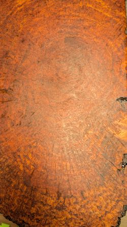 Redwood Burl Table