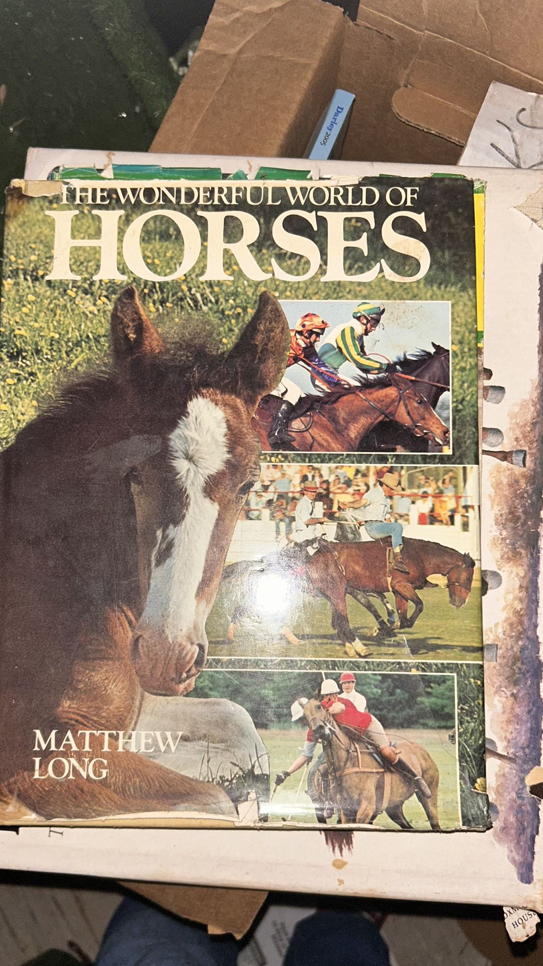 Horse Book
