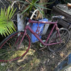 Fixie Bikes 
