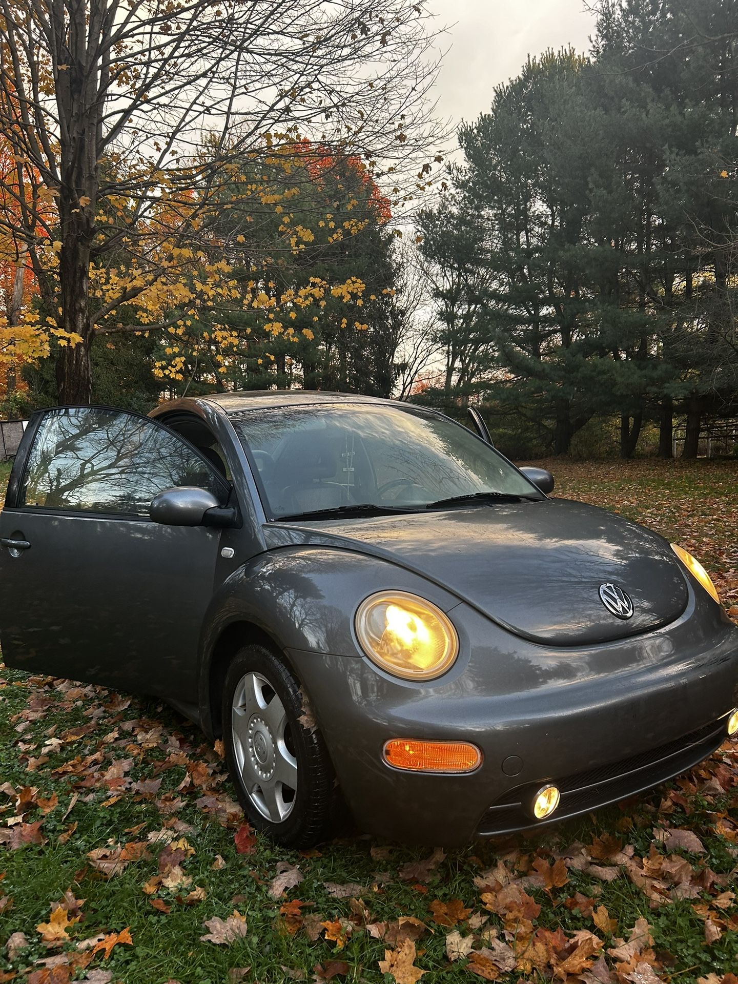 2006 Volkswagen New Beetle