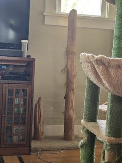 Driftwood Cat Scratch Posts