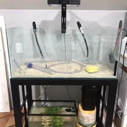 Frameless Fish Tank ( GREAT DEAL)