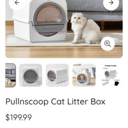 Pullnscoop Cat Litter Box