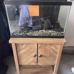 10 Gallon Fish Tank And Stand 