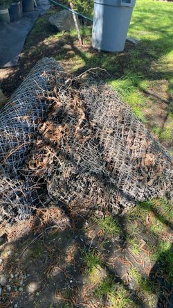 4’ Tall Chain Link Fence