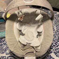 Baby Bouncer