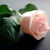 Victoria