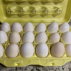 Eggs Farm Fresh