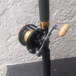 Penn Delmar #285 Fishing Reel Saltwater Fishing & 7ft Custom Rod 