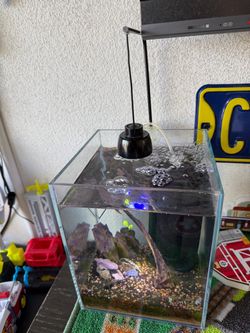 2.5 nano tank