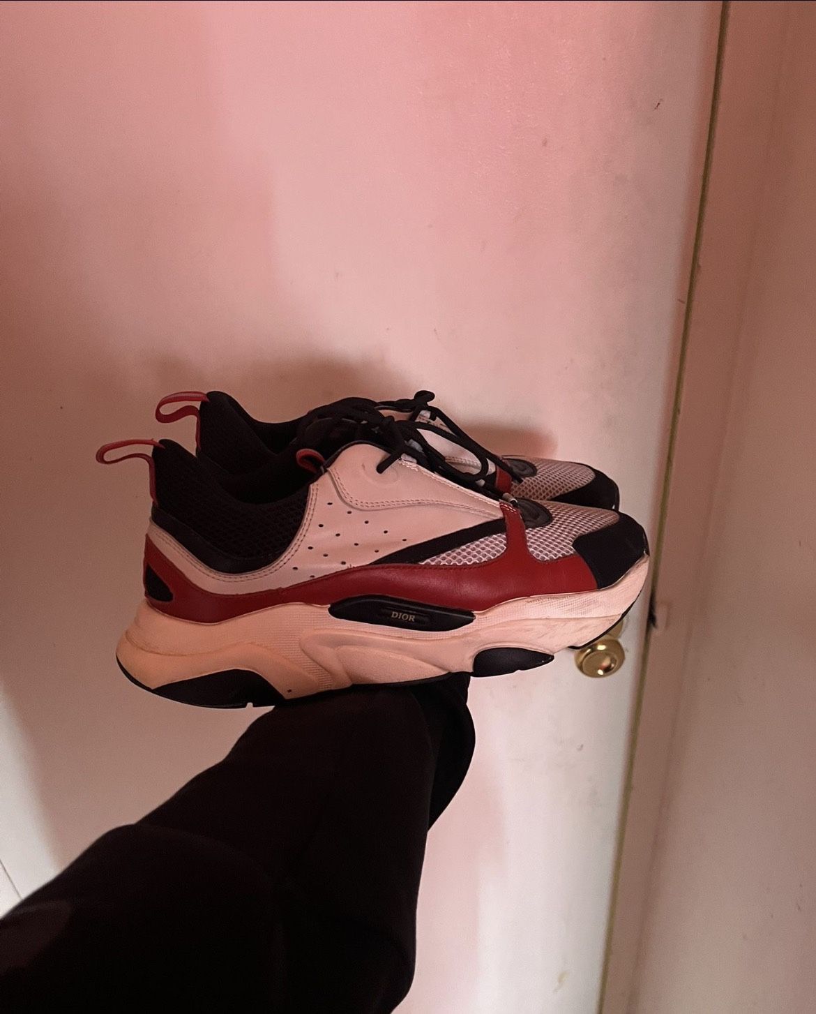 Dior B22