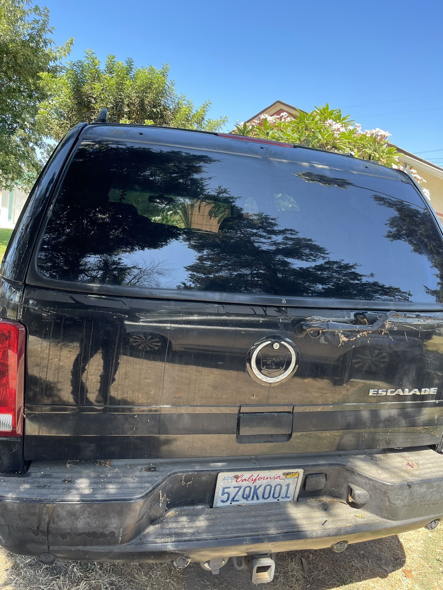 Windshields Replaced