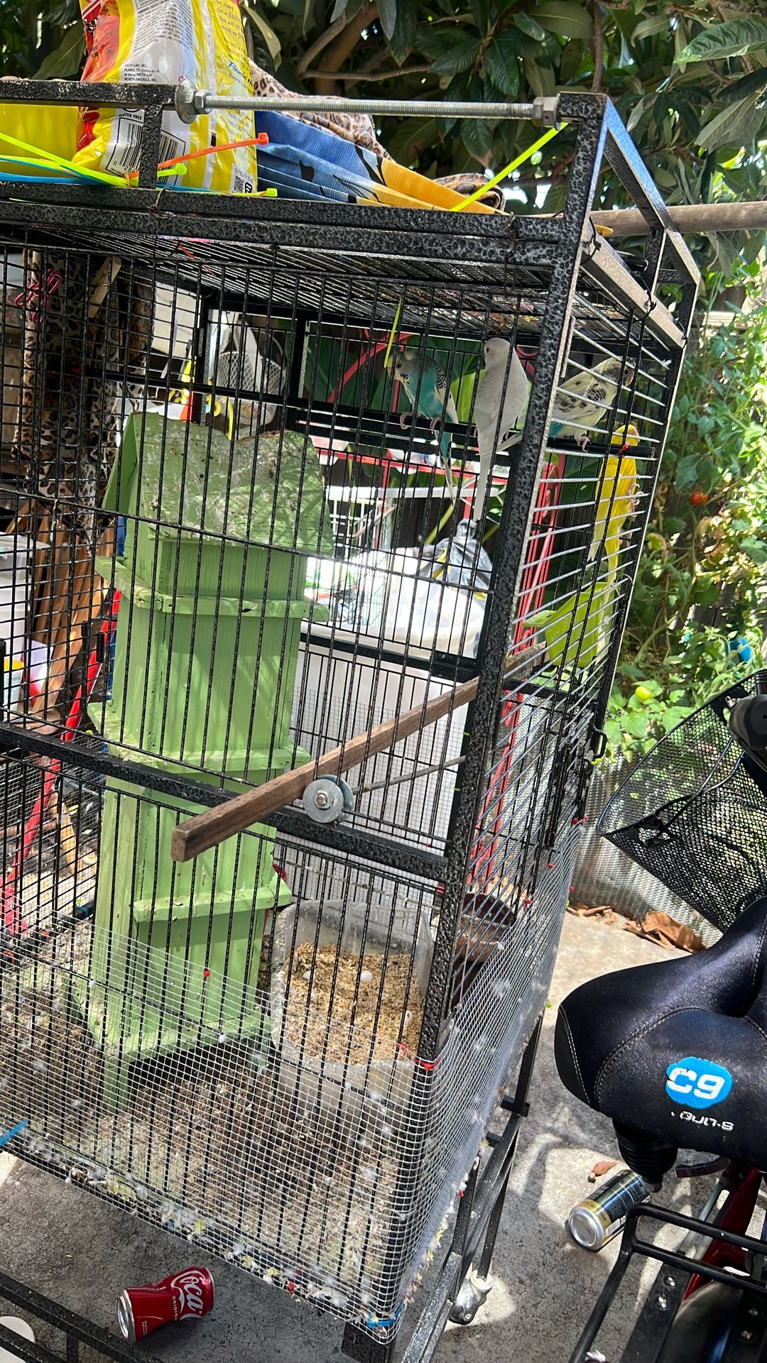Birds Cage