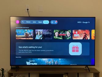 Sony 65” 4K Smart Google TV + 2 Yrs Geek Squad Warranty  + Wall Mount