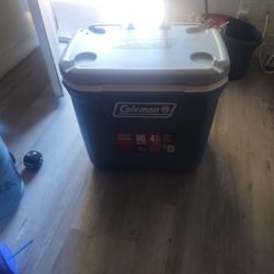 Coleman Cooler 