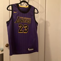 Lebron James Laker Jersey 