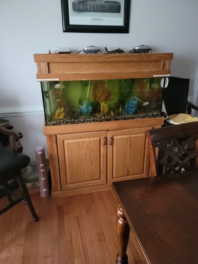 Fish Tank