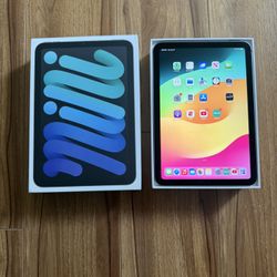 iPad Mini 6th Generation 256 GB WiFi 