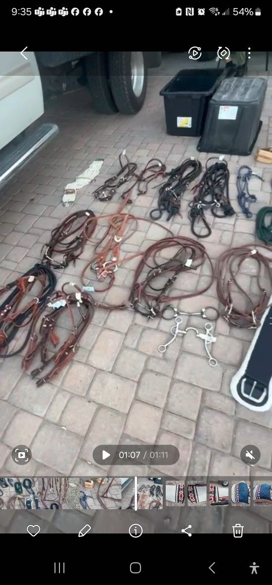 Cinch, Saddle, Reins