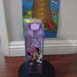 Minnie Mouse And Friend Milk Carton 