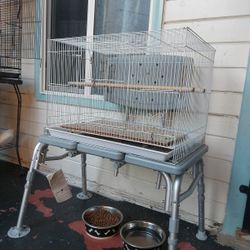 Bird Cage 