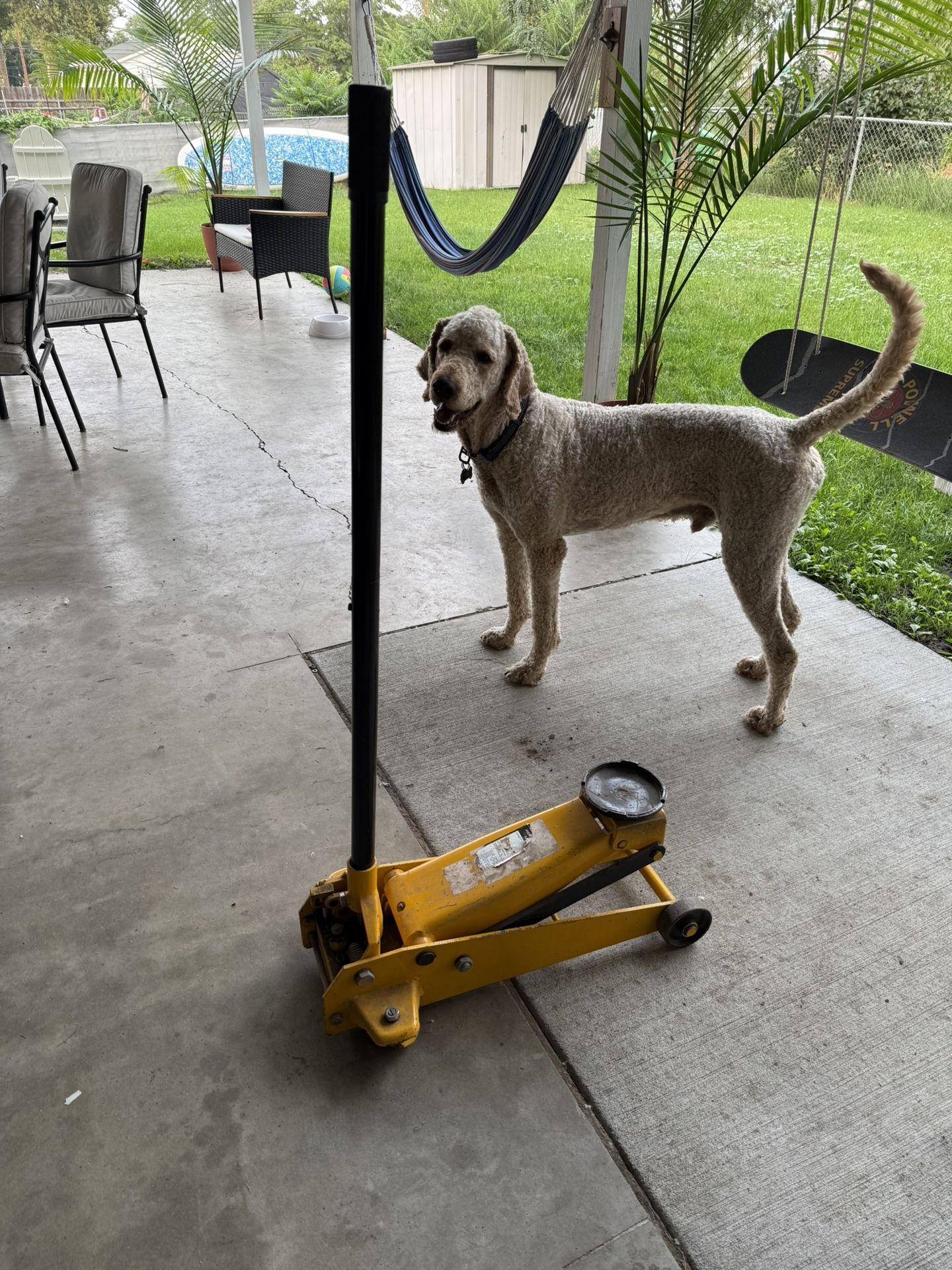 Floor Jack