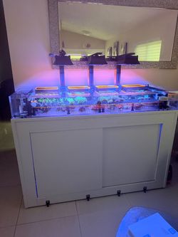 Beautiful Professional Acrylic Frag Tank System w/ Wood Stand, Trigger Sump & Frag Racks