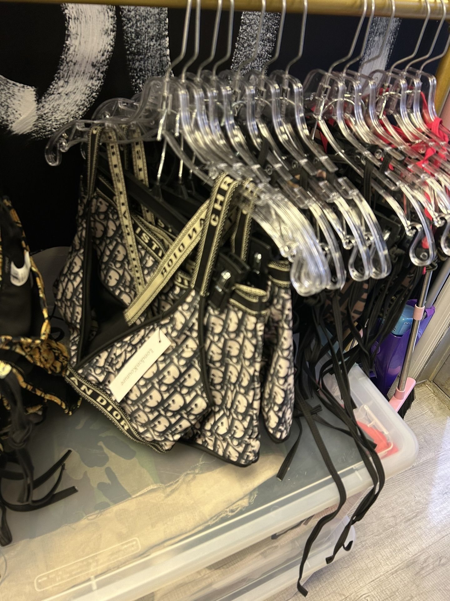 Dior And Fendi Swimsuits