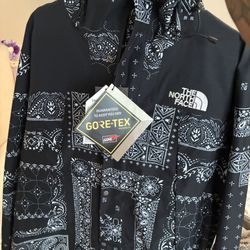 North Face Goretex Snow Jacket