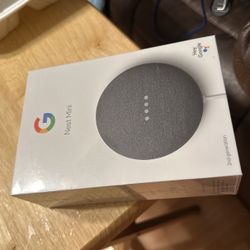 Google Nest Mini