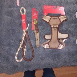 Dog Harness Dog Collar And Dog Leash