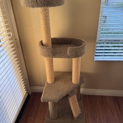 Cat Condo