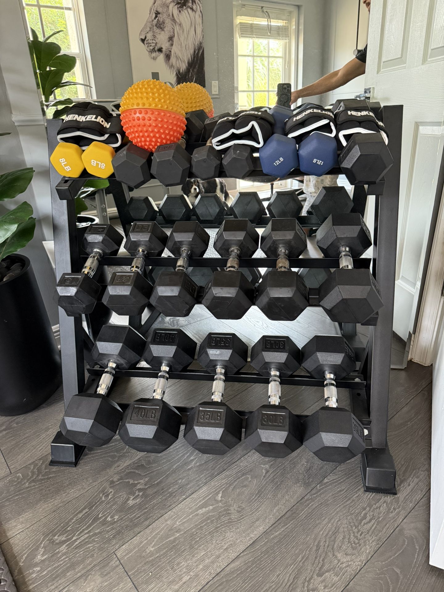 Complete Home Gym - dumbells set + Bench Press Set with Leg Extension,