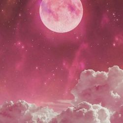 Cook Clean Organize, Babysit ,Skilled InHome Health Care Provisions. 