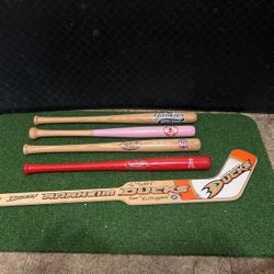 Mini baseball bats