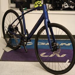 10 Speed Bicycle