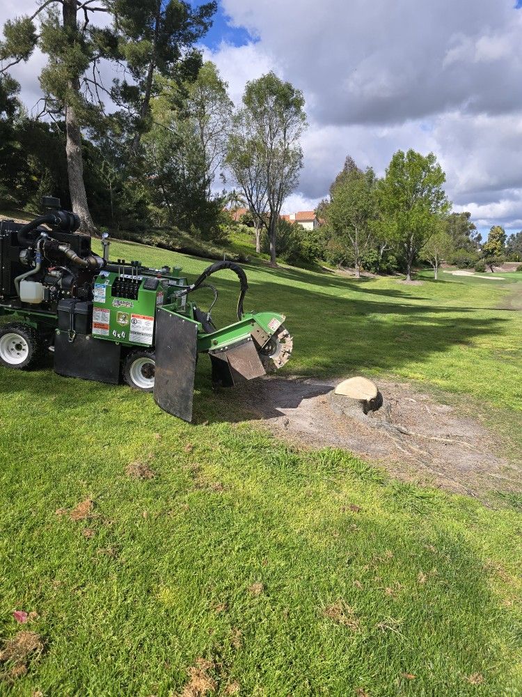 Stump Grinding Services