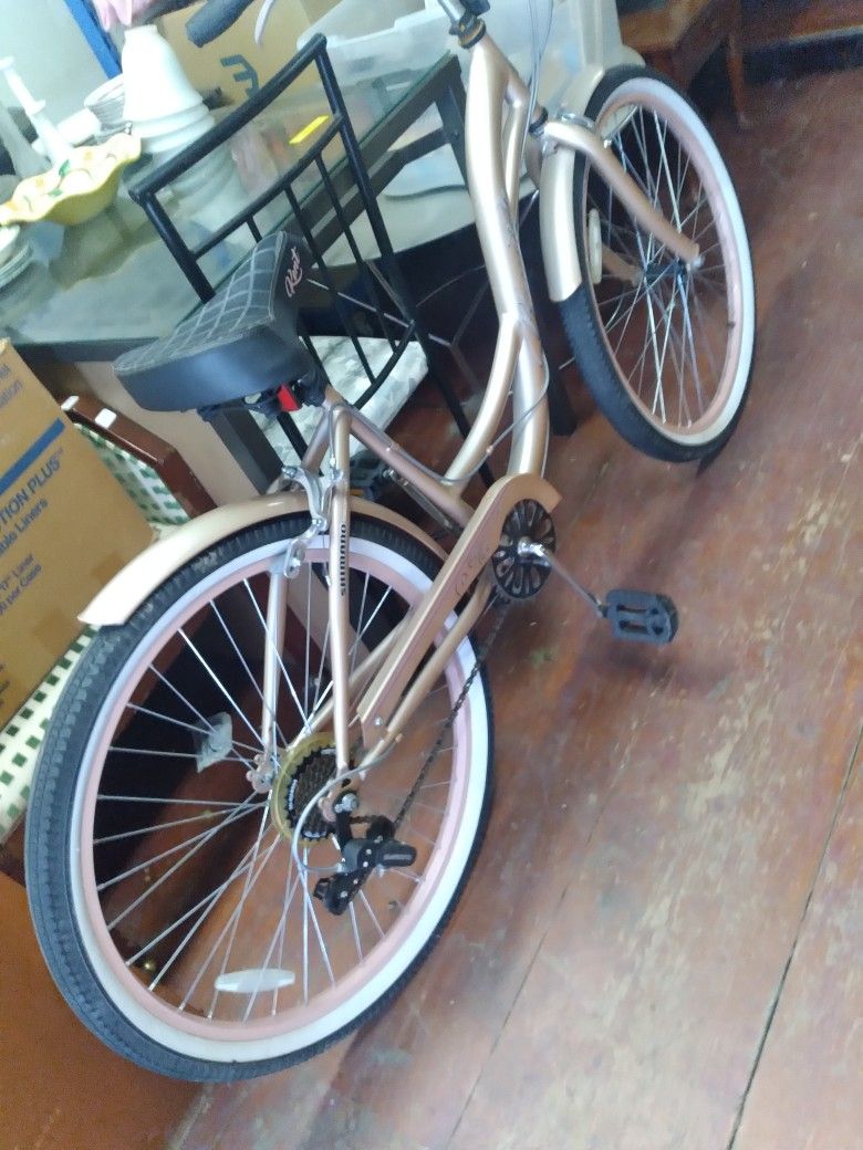 Adult Bike