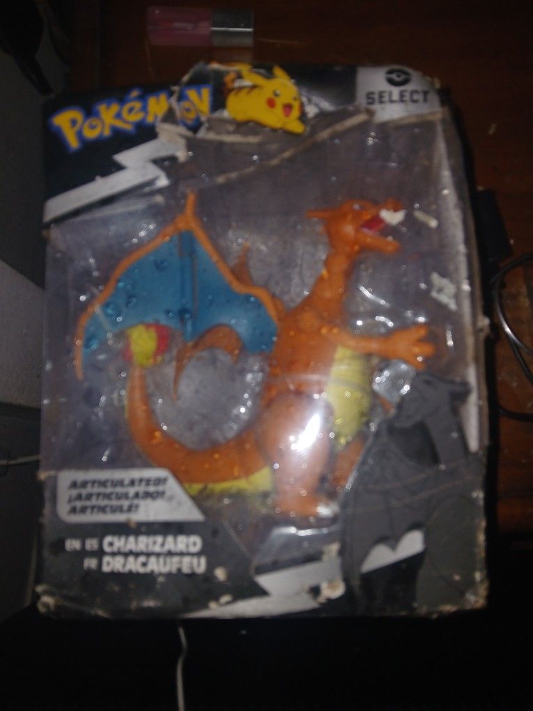 Charizard Pokemon